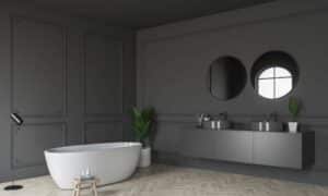 Gray Bathroom IdeaS