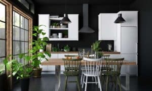 How to Decorate Kitchen with Plants