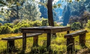 Rustic Outdoor Table Decor