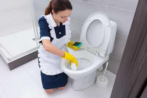 Brush, Then Pour Vinegar And Scrub for clean toilet seat