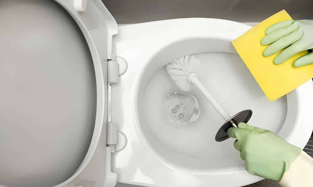 How To Clean The Toilet Seat