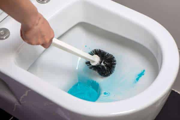 Scrub With A Toilet Brush And Cleaner for clean toilet seat