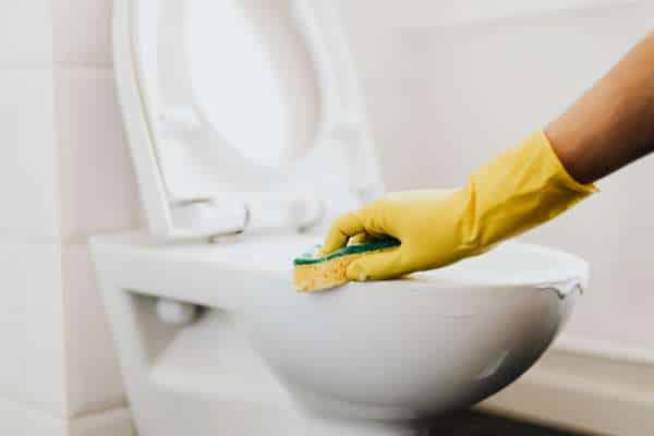 Wipe Surfaces With Bleach-soaked Cloth for clean toilet seat