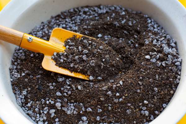 2. Layer: Cardboard, Straw, Soil Mix for Fill A Raised Garden Bed