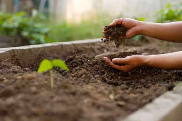 Compost, Topsoil, Aged Manure Mix