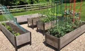 How To Fill A Raised Garden Bed