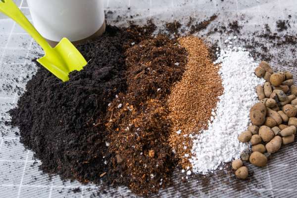 Soil, Compost, And Perlite Blend for Fill A Raised Garden Bed