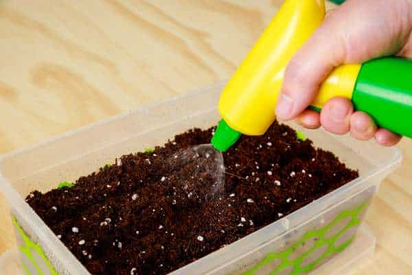 Topsoil, Organic Matter, Perlite Mix for Fill A Raised Garden Bed