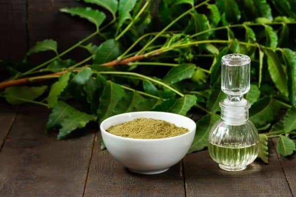 Apply Neem Oil Arrangement Rid of Grass Fungus